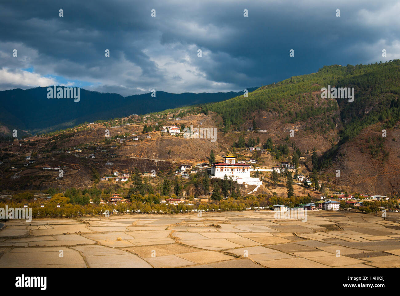 Blick über Tal mit Reisfeldern nach Paro Dzong, Bhutan Stockfoto