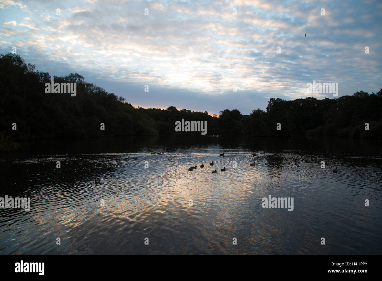 Die Sonne geht an einem kalten herbstlichen Morgen über den See in Golden Acre Park in Leeds, West Yorkshire. Stockfoto