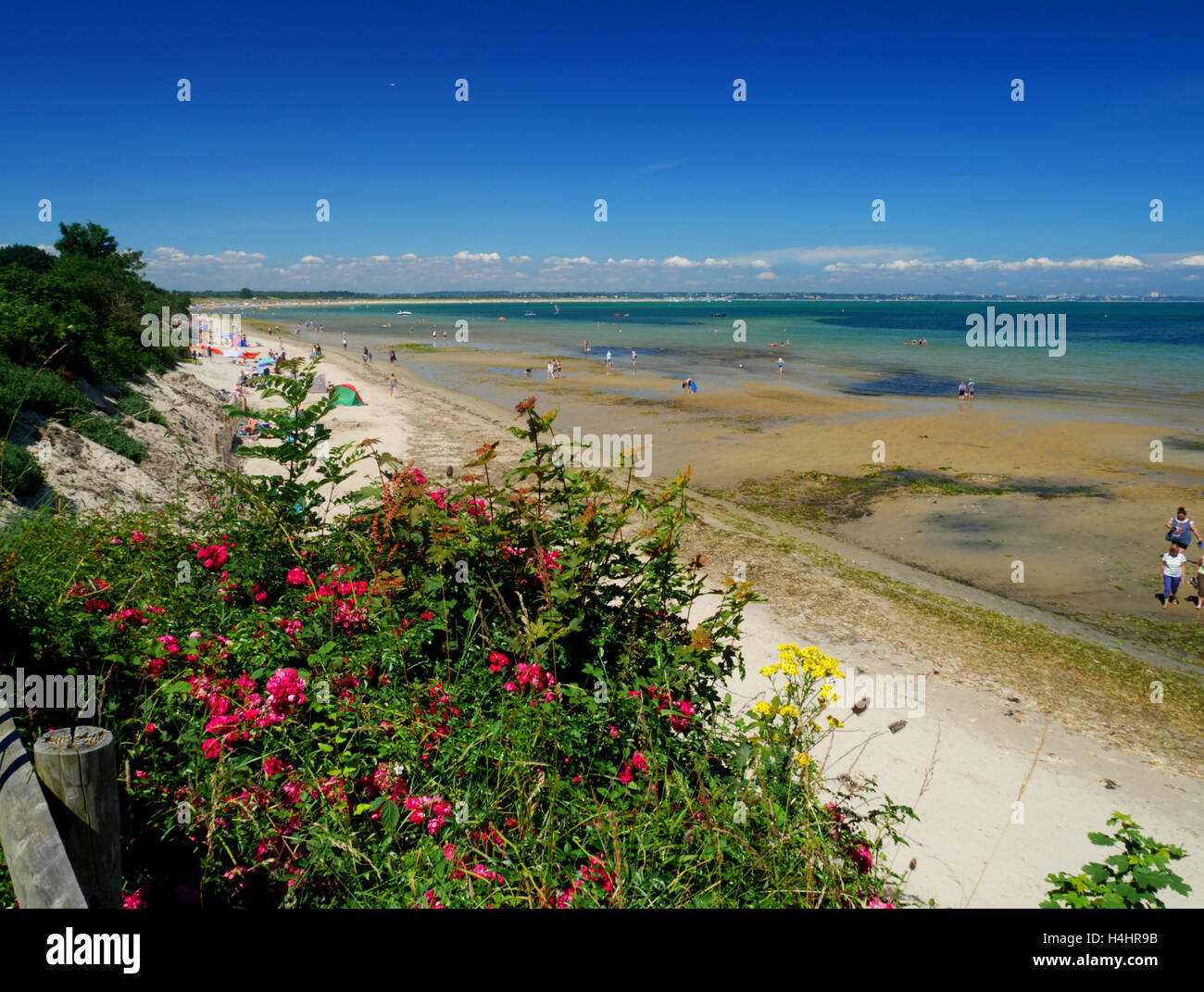Studland Bay, Blick nach Norden in Richtung Poole und Bournemouth, Dorset. Stockfoto