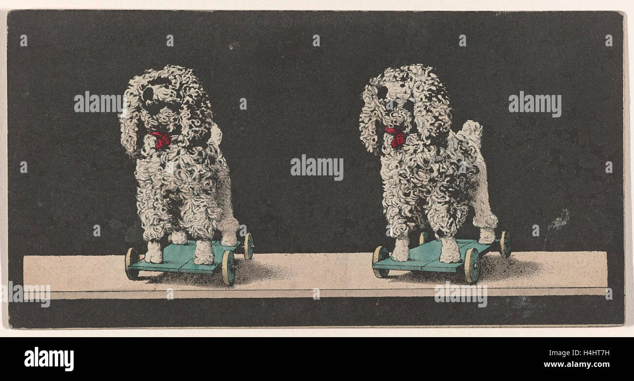 Spielzeug, Hund auf Rädern, Stereo-Lithographie Stockfoto