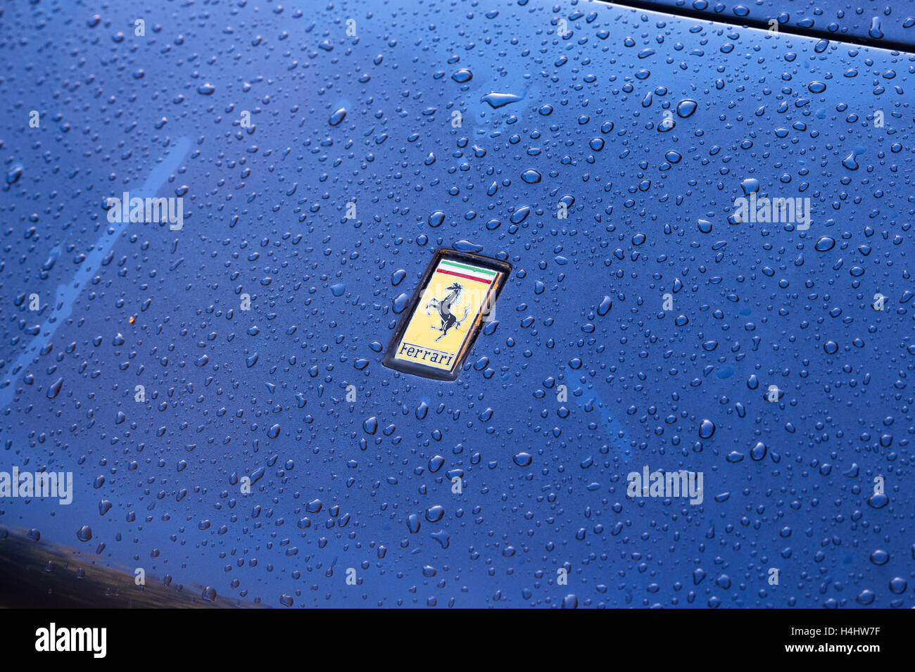 Regentropfen auf einen blauen Ferrari Motorhaube Stockfoto