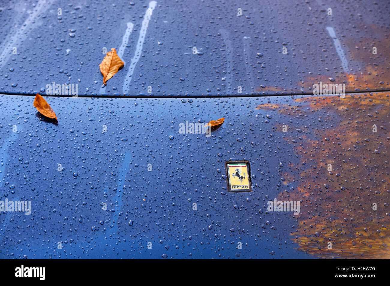 Regentropfen und Herbst Blätter auf einem blauen Ferrari Motorhaube Stockfoto