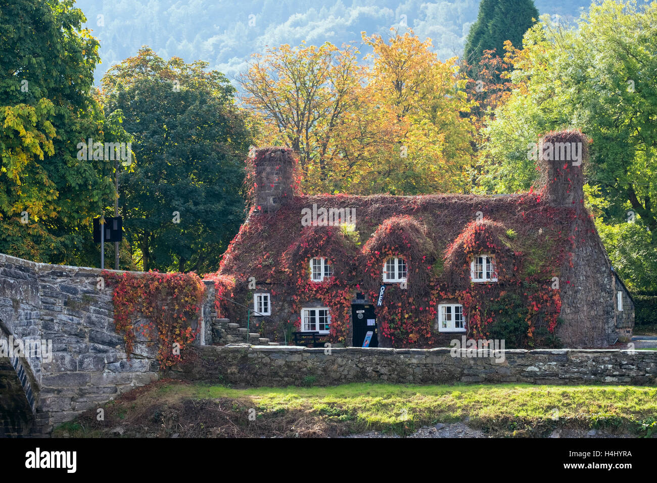 Tu Hwnt I'r Bont Teestuben im malerischen Cottage aus dem 15. Jahrhundert durch alte Pont Fawr Brücke über Afon Conwy Fluss im Herbst. Trefriw Conwy in Wales UK Stockfoto