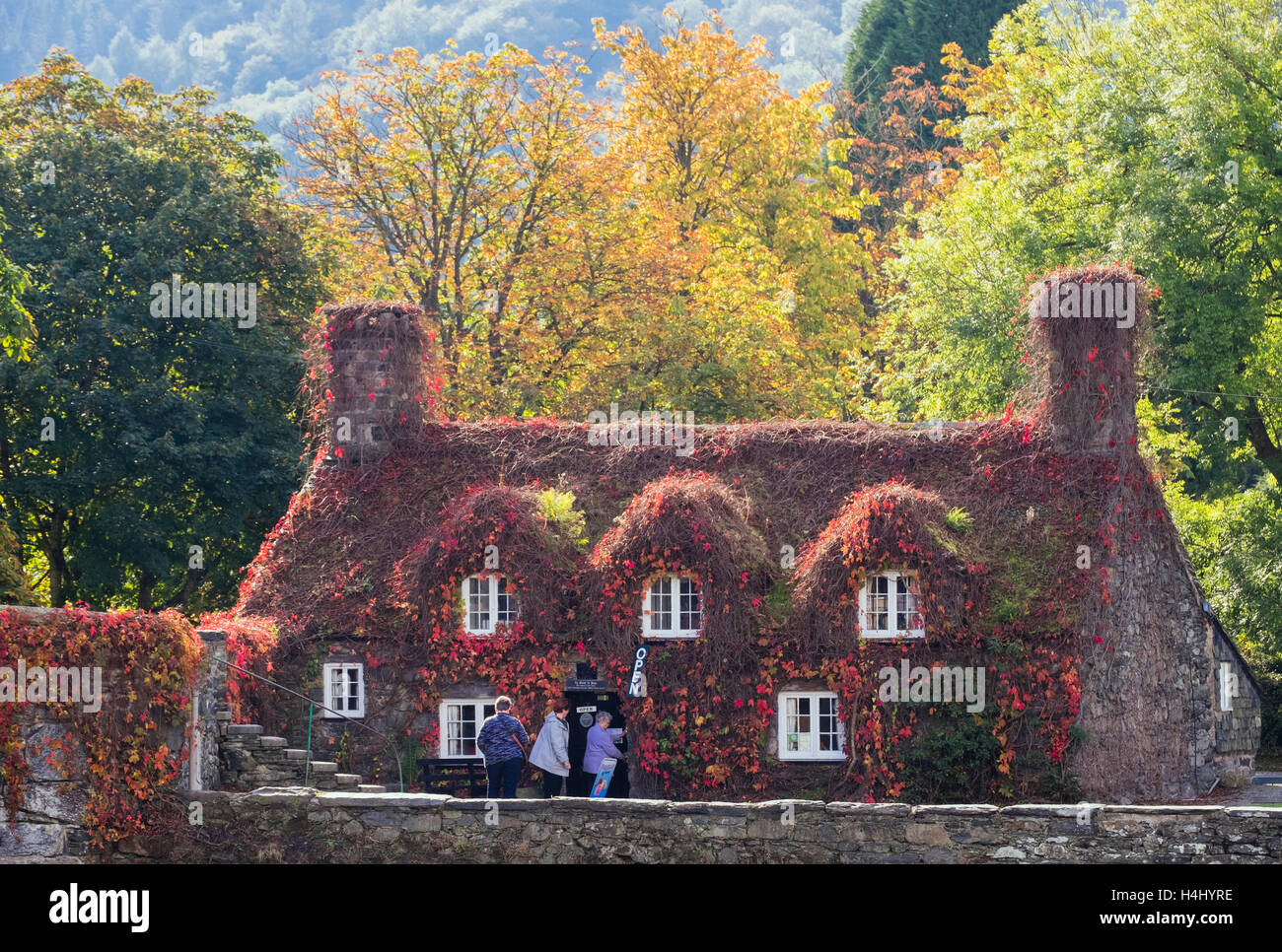 Drei Frauen Kunden, die in der Tu Hwnt I'r Bont Teestuben in einem malerischen Cottage von Pont Fawr und Afon Conwy Fluss im Herbst. Trefriw Conwy Wales UK Stockfoto