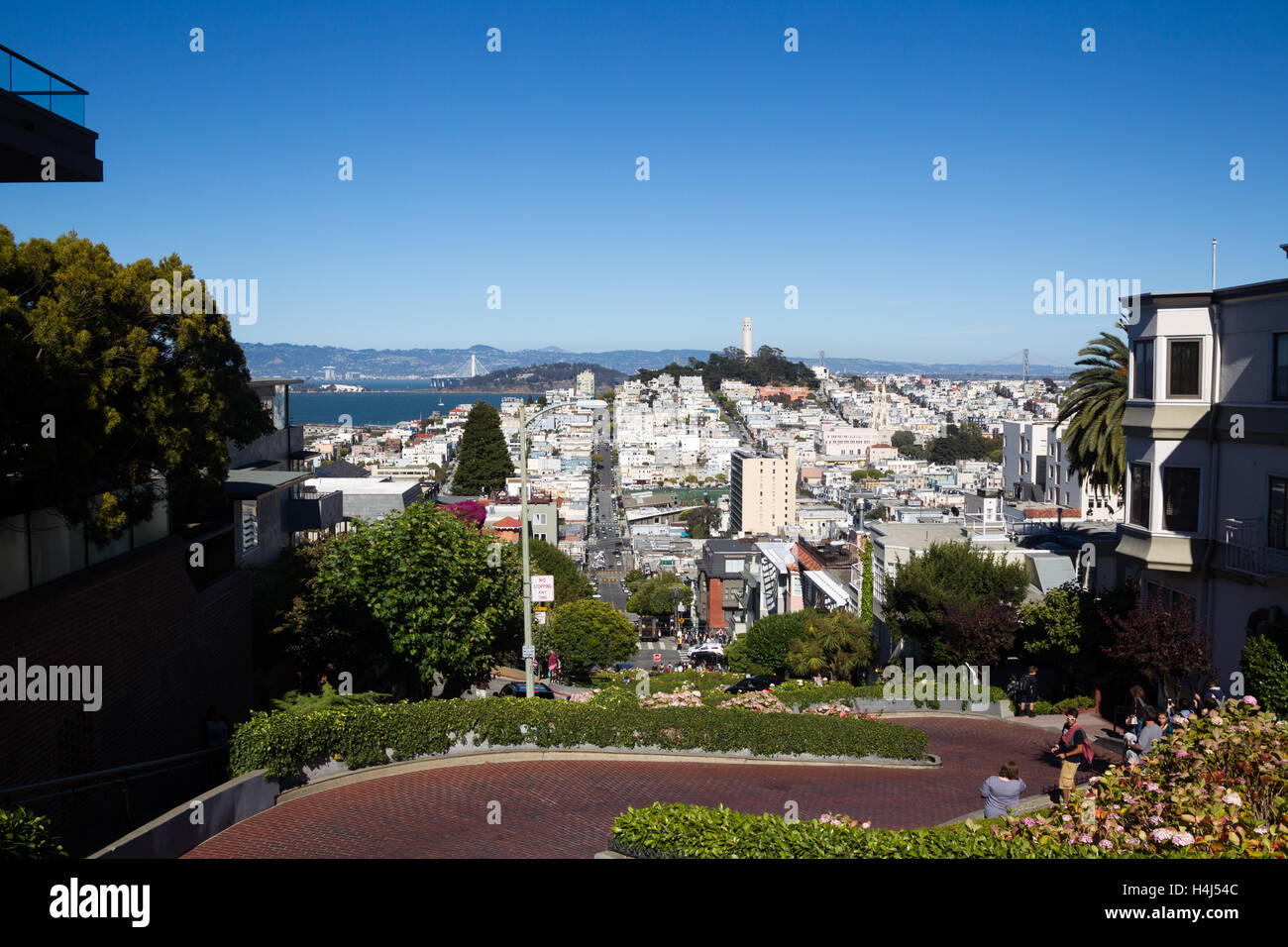 Blick vom Lombard Street auf Downtownn San Francisco, Kalifornien, USA. Stockfoto