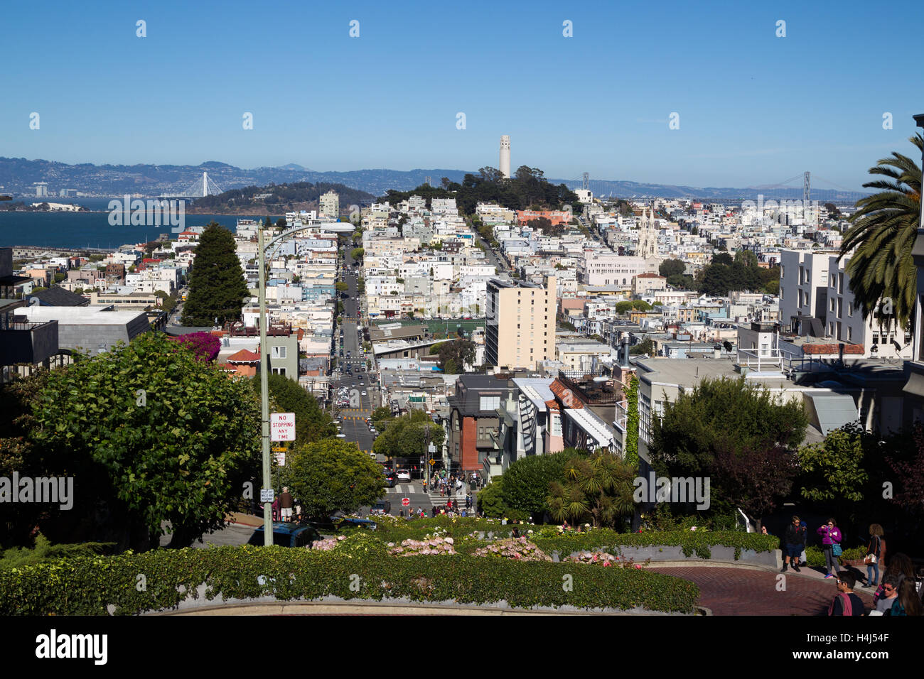 Blick vom Lombard Street auf Downtownn San Francisco, Kalifornien, USA. Stockfoto