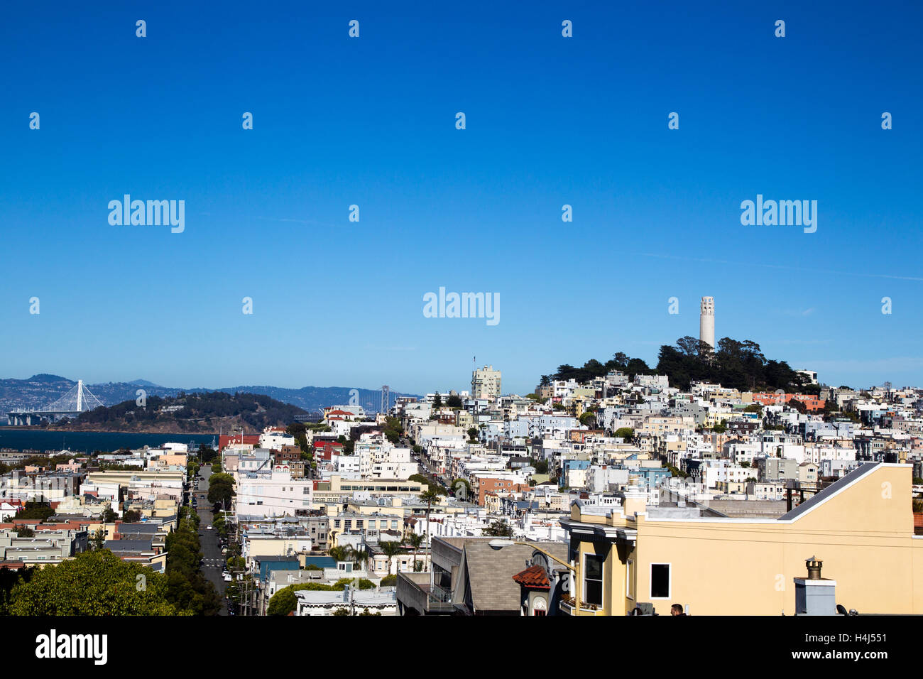 Blick auf Coit Tower und Telegraph Hill in der Innenstadt von San Francisco, Kalifornien, USA. Stockfoto