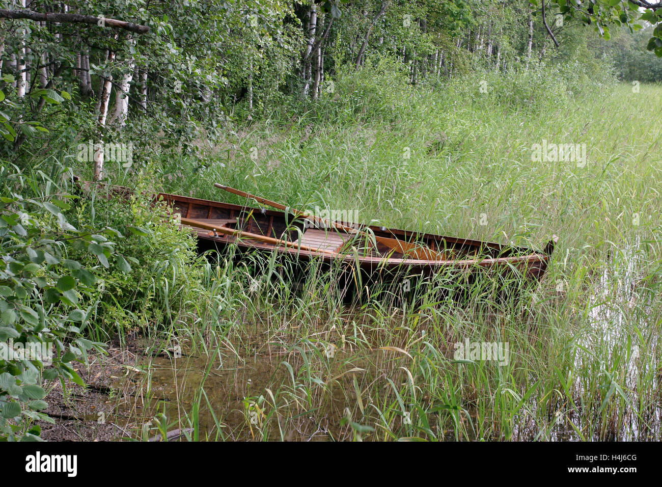 Kleines Boot vertäut im Schilf, Finnland Stockfoto