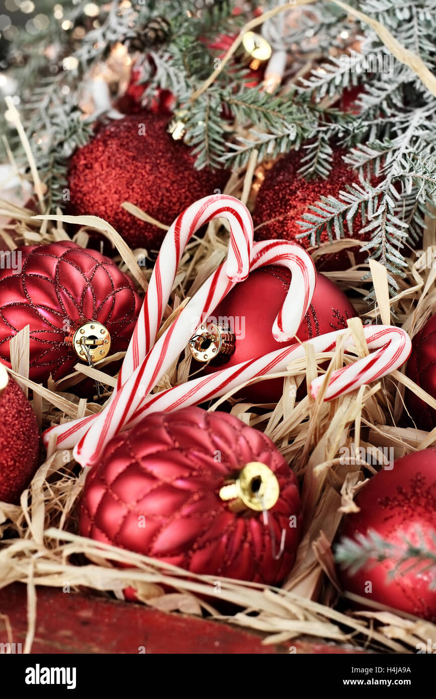 Drei Zuckerstangen und Weihnachtsschmuck verpackt in einer alten antiken Holzkiste mit Schnee bedeckten Kiefer Ästen um sie herum. Stockfoto