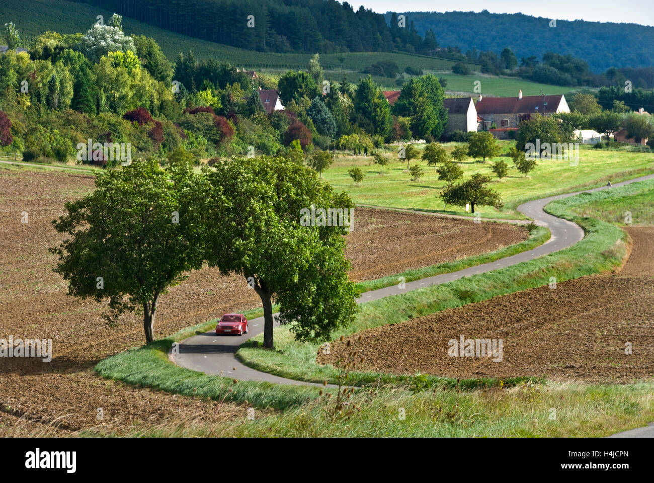 Fahrt mit dem Auto durch die ruhige ländliche französische Landschaft in der Nähe von Curtil-Vergy, in den Hautes Cotes de Nuits, Cote d'Or, Frankreich Stockfoto