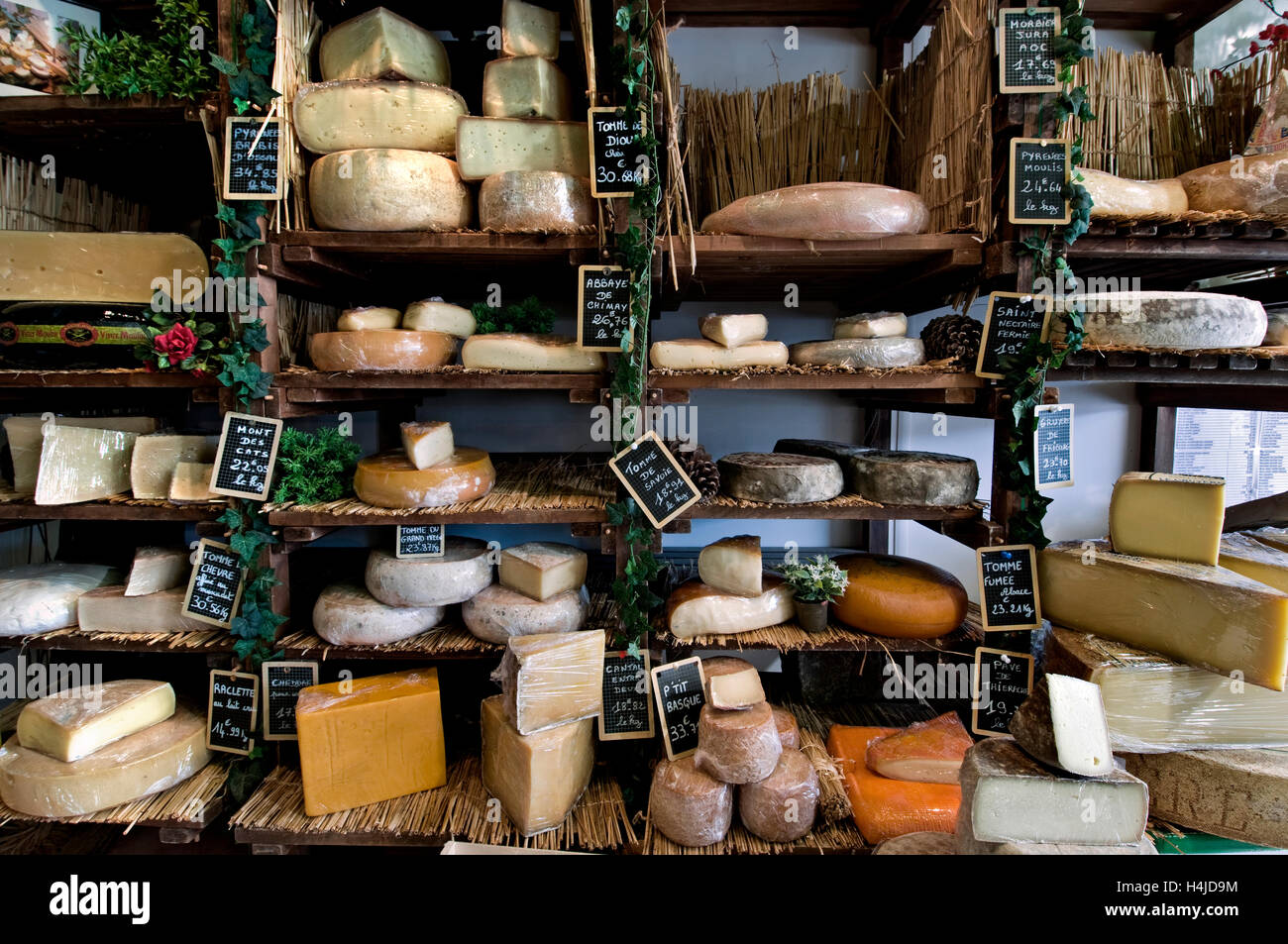 FROMAGERIE handgefertigten französischen Käse auf charmante Zimmer im Display in der Artisan fromagerie Käse Shop "Caseus "Montreuil-sur-Mer Frankreich Stockfoto