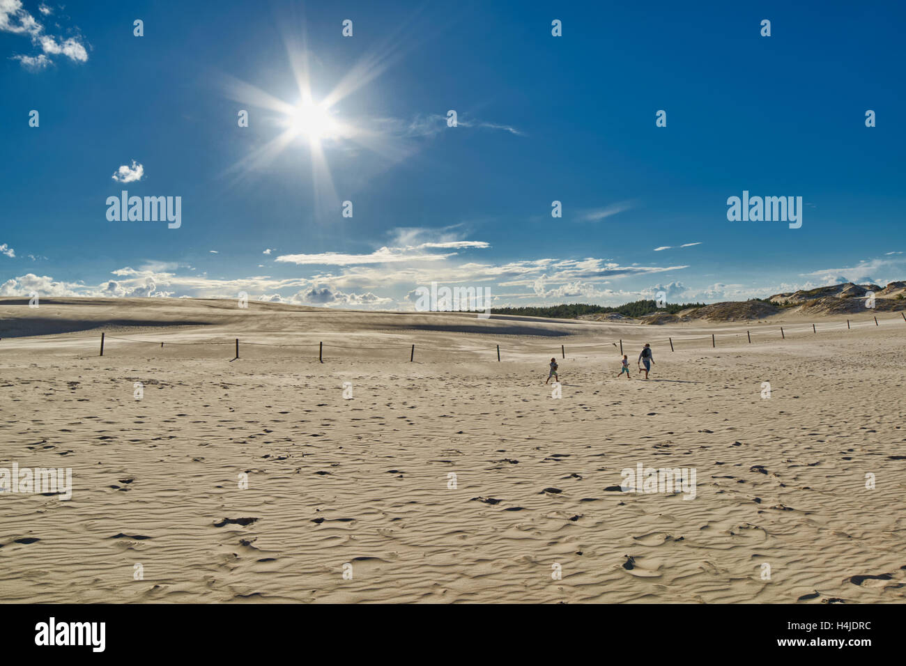 Leba Sanddünen an der polnischen Ostseeküste Stockfoto