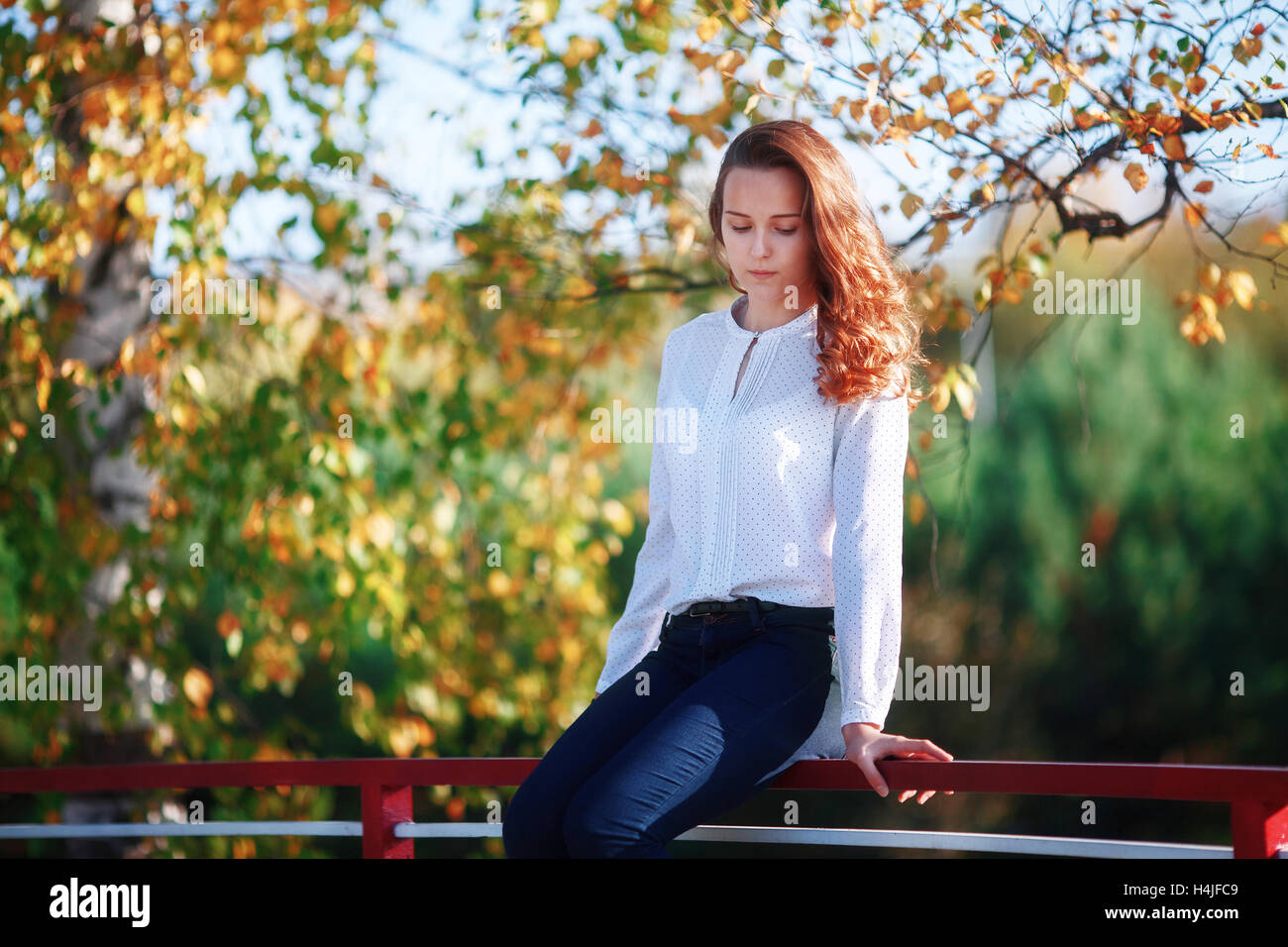 Attraktive junge Frau sitzt im bunten Herbst-park Stockfoto