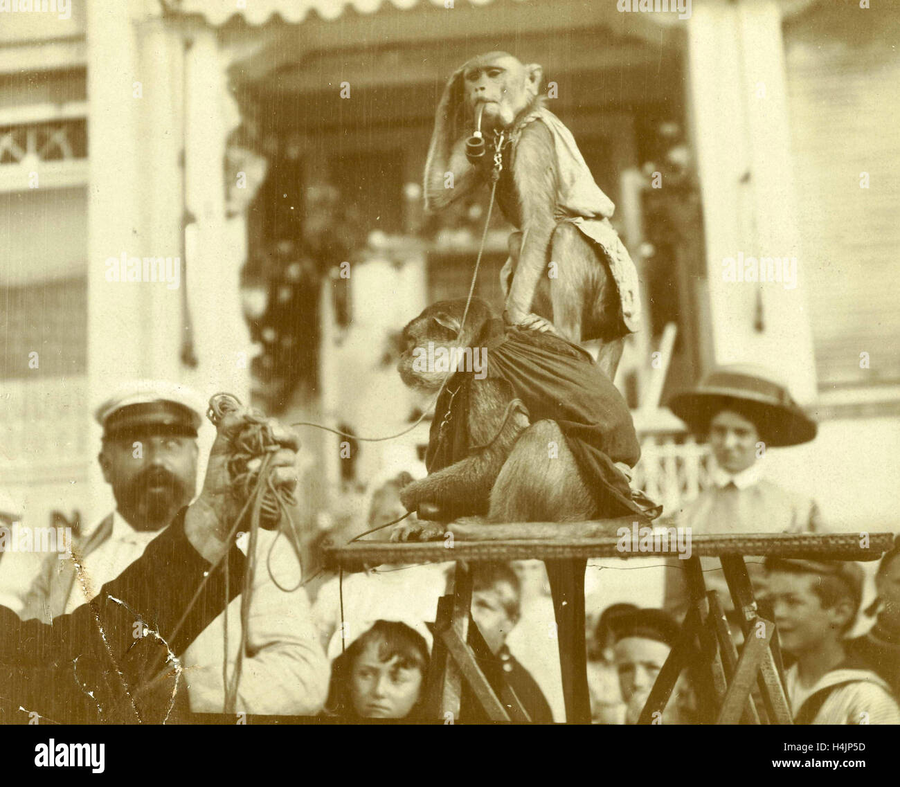 Zwei Affen mit Zuschauern, anonym, um 1900 Stockfoto
