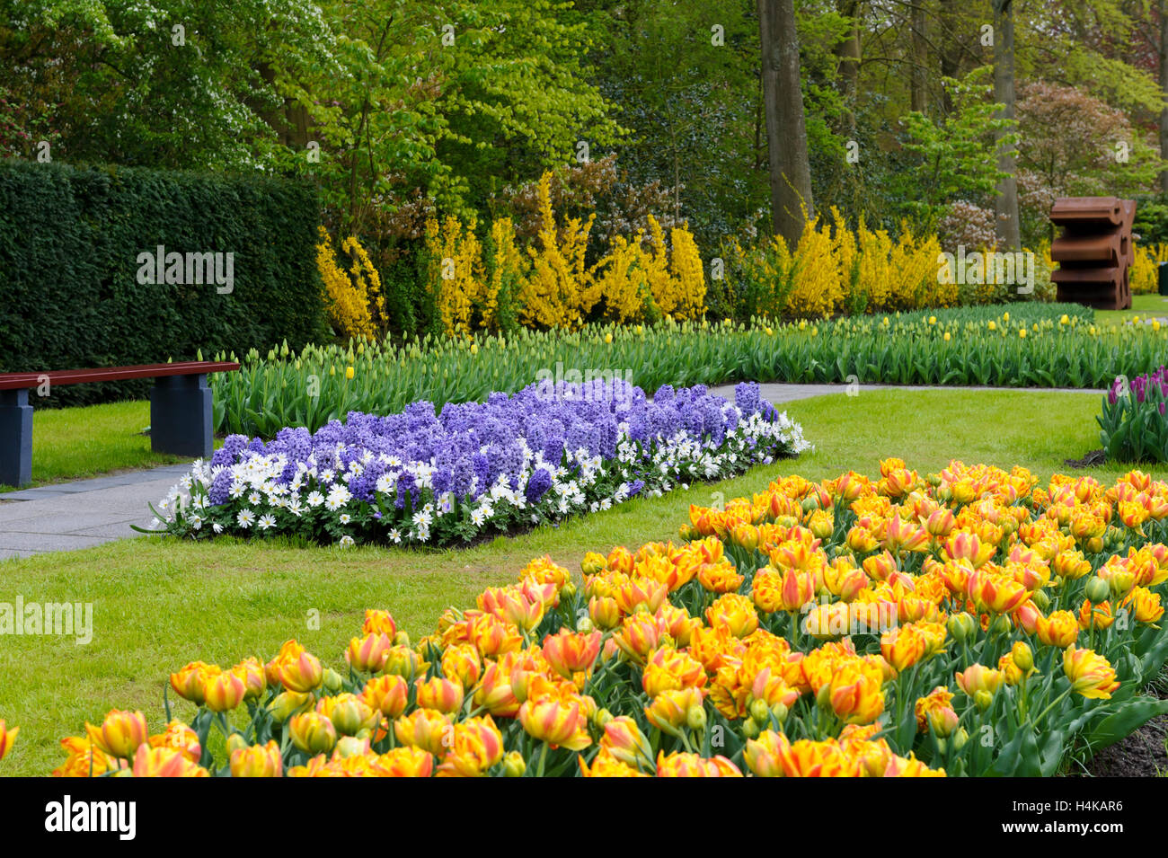 Farbenfrohe Frische Reihen von Blumen im Garten der Keukenhof in Lisse