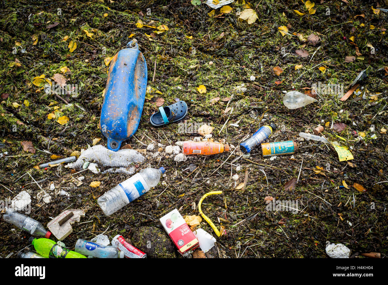 Müll angespült an einem Strand in Großbritannien Stockfoto