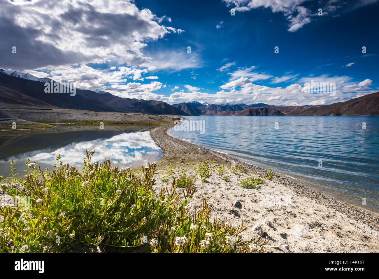 Seenlandschaft, Pangong Tso, Leh, Ladakh, Indien Stockfoto