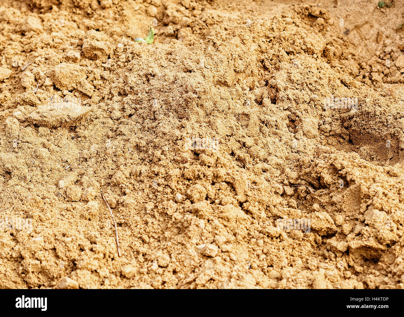 Nasser Sand am Tag wie entspannen Atmosphäre Stockfoto