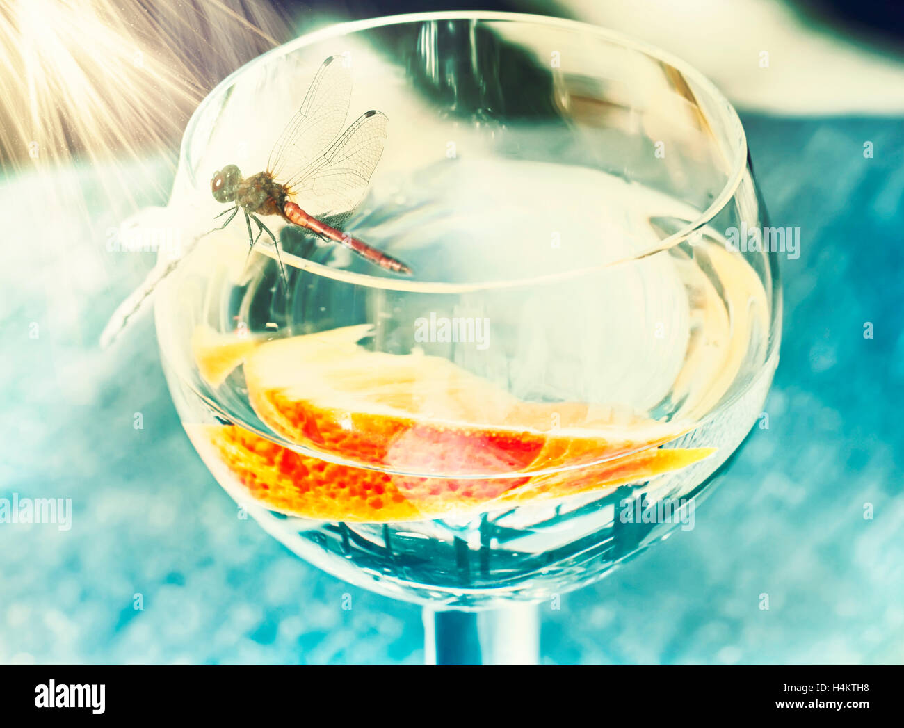 Libelle auf Glas Wasser in der Sonne Stockfoto