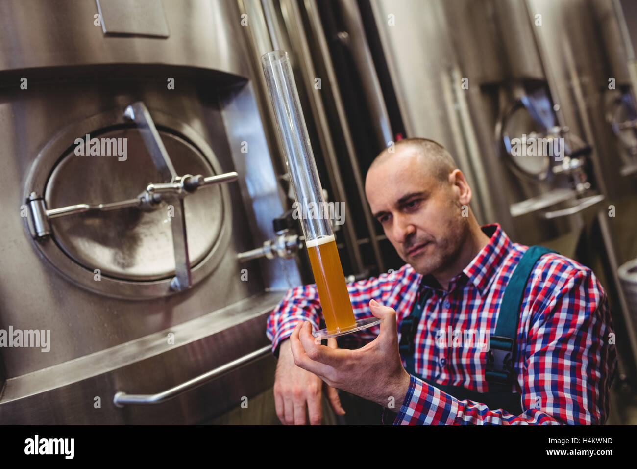 Hersteller, die Bier in Glasröhre Inspektion Stockfoto