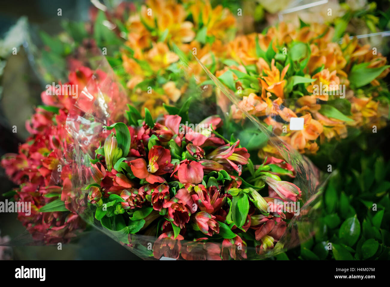 Blumen Blumenstrauß im Blumenladen Stockfoto