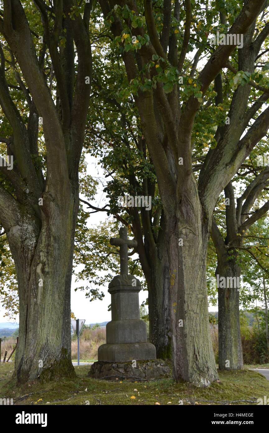 Cross-Aufstieg auf einem blauen Steinsockel zwischen zwei alten Eichen. Stockfoto