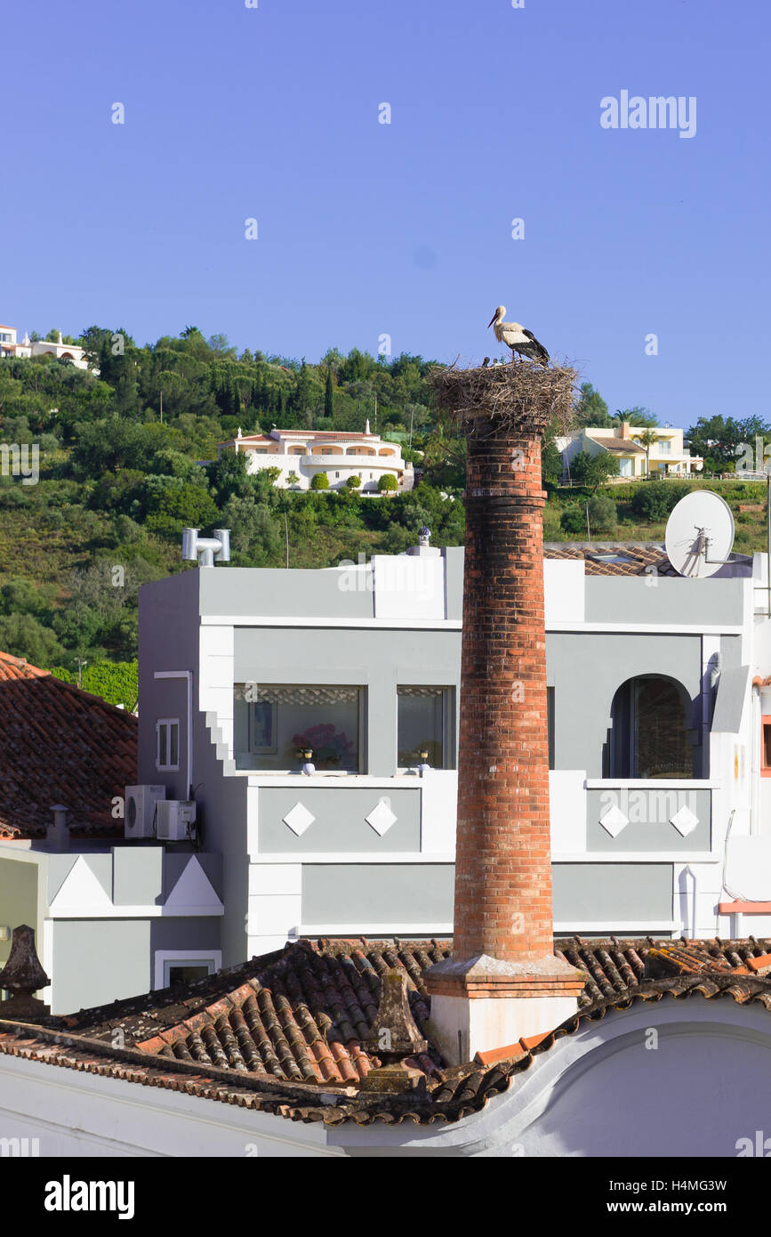 Ein paar Weißstörche mit Welpen. Das Nest befindet sich in der Spitze eines Schornsteins. Silves, Portugal Stockfoto