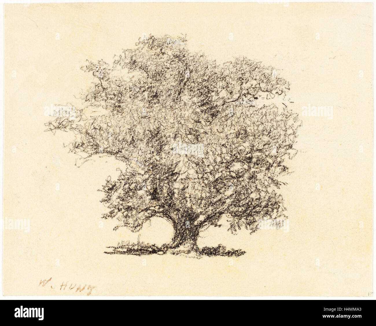 William Henry Hunt, Brite/Britin (1790-1864), A Tree in Full-Leaf, Graphit auf Papier Vélin Stockfoto