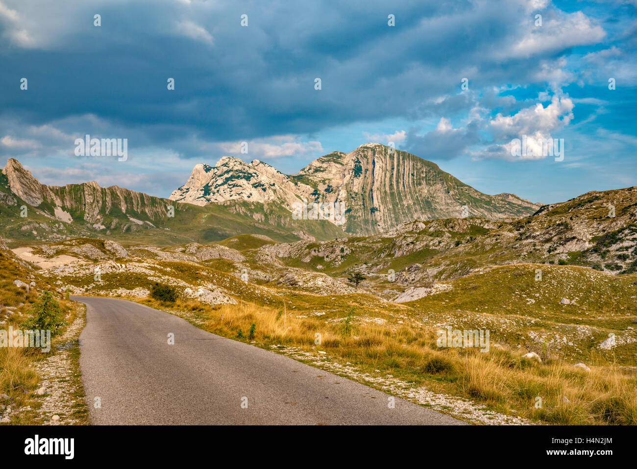 Prutas, Berg Durmitor National Park, Dinarischen Alpen, Montenegro Stockfoto