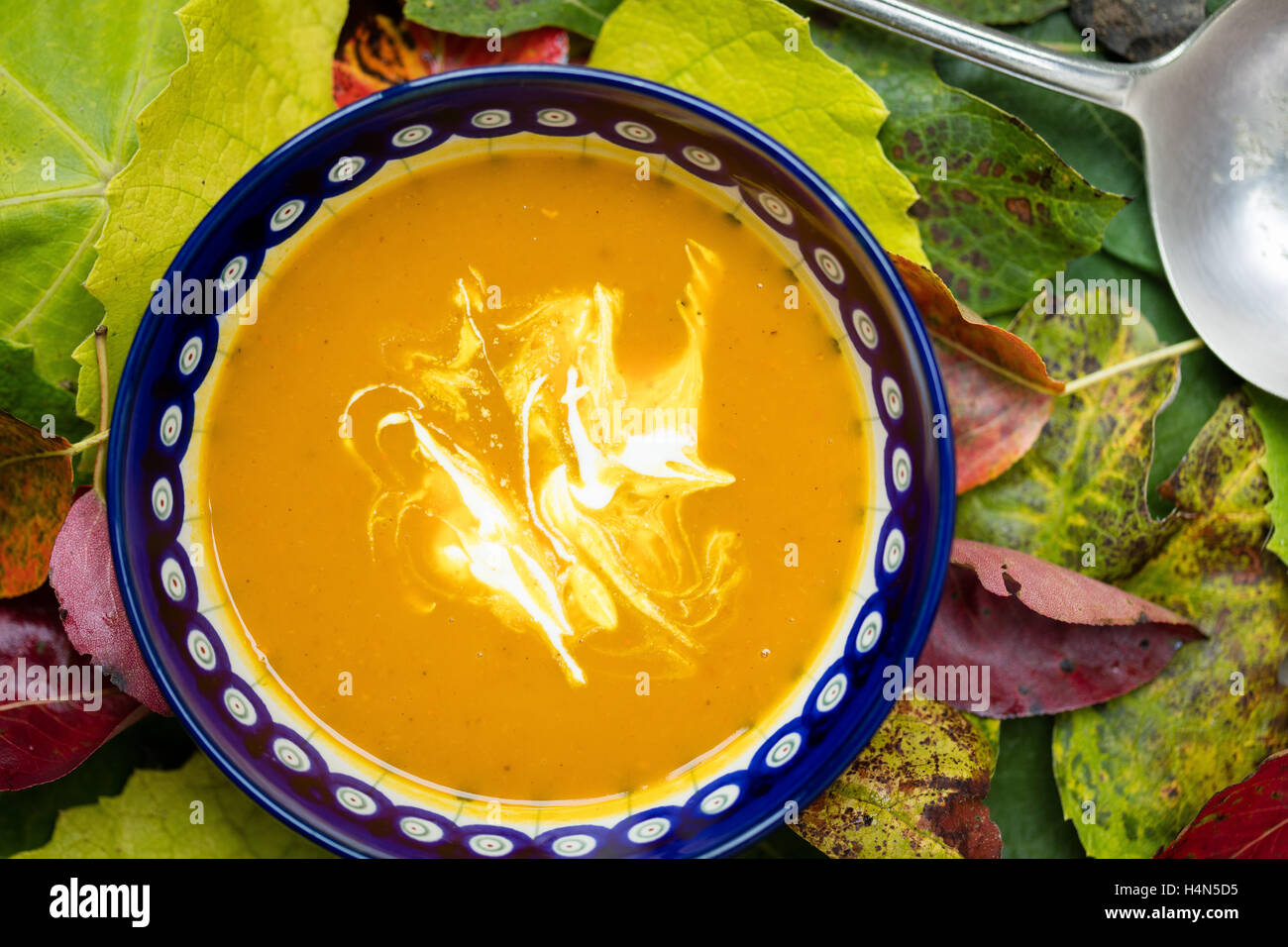 Kürbis-Kastanien-Suppe auf Blätter im Herbst Stockfoto