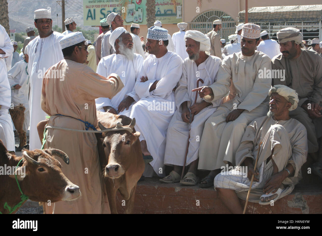 Der Viehmarkt in Nizwa, Oman. Lokalen Stammesangehörigen Handel mit Rindern und Ziegen auf dem Markt in der alten Hauptstadt von Oman Stockfoto