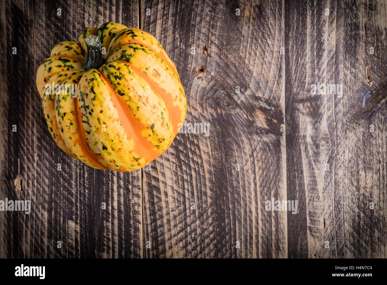 Herbst Herbst ernten Erntedankfest-Dekoration Holz Holz rustikal Hintergrund Text Raum textfreiraum Text-Raum bunt Stockfoto