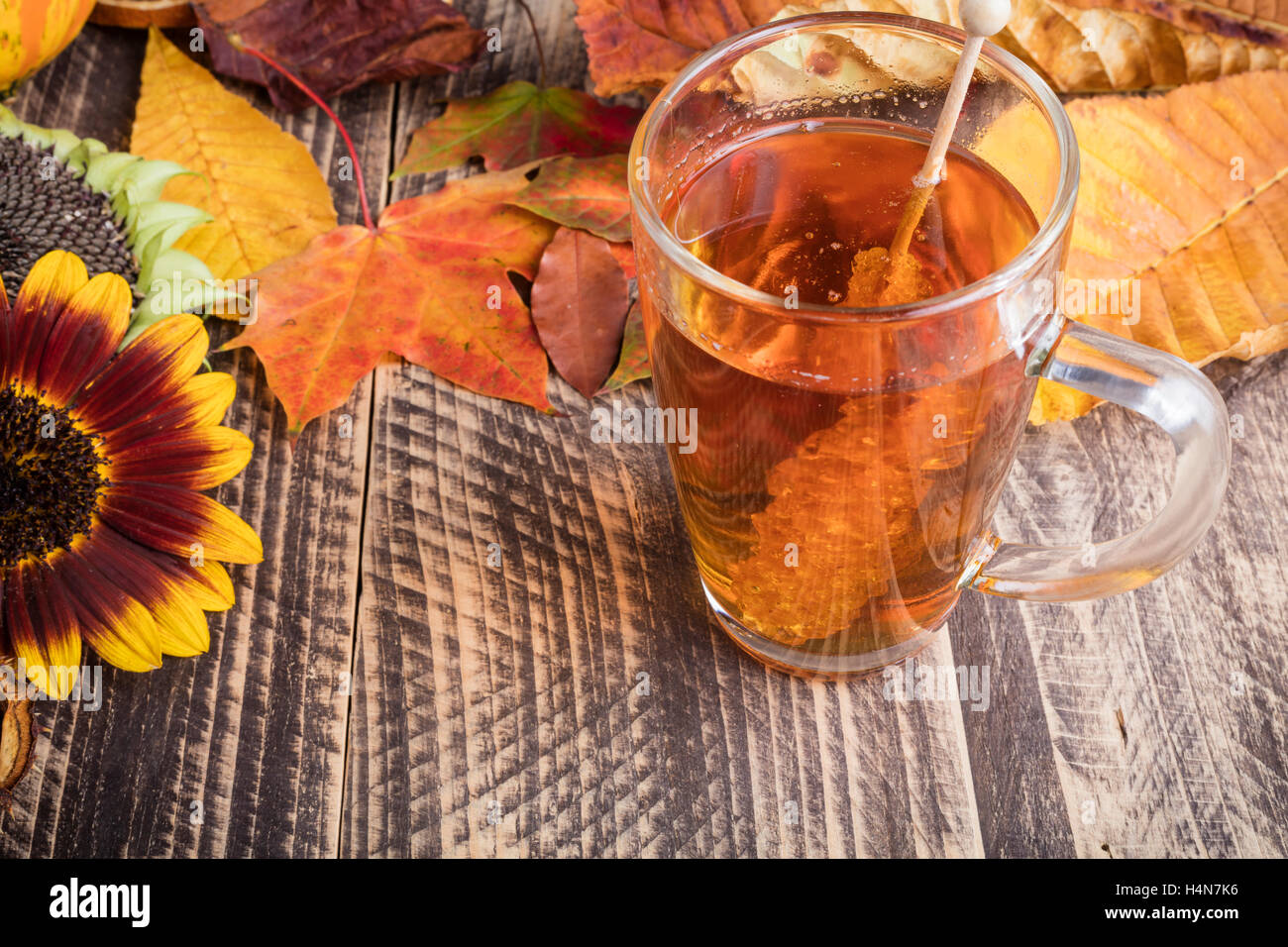 frischer Tee fallen Herbst Erntedankfest-Dekoration Stockfoto