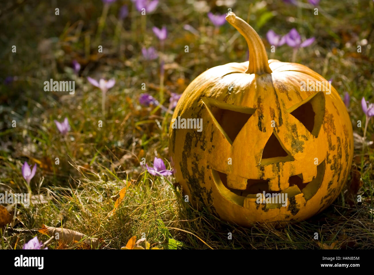 Teufel garten Fotos und Bildmaterial in hoher Auflösung Alamy