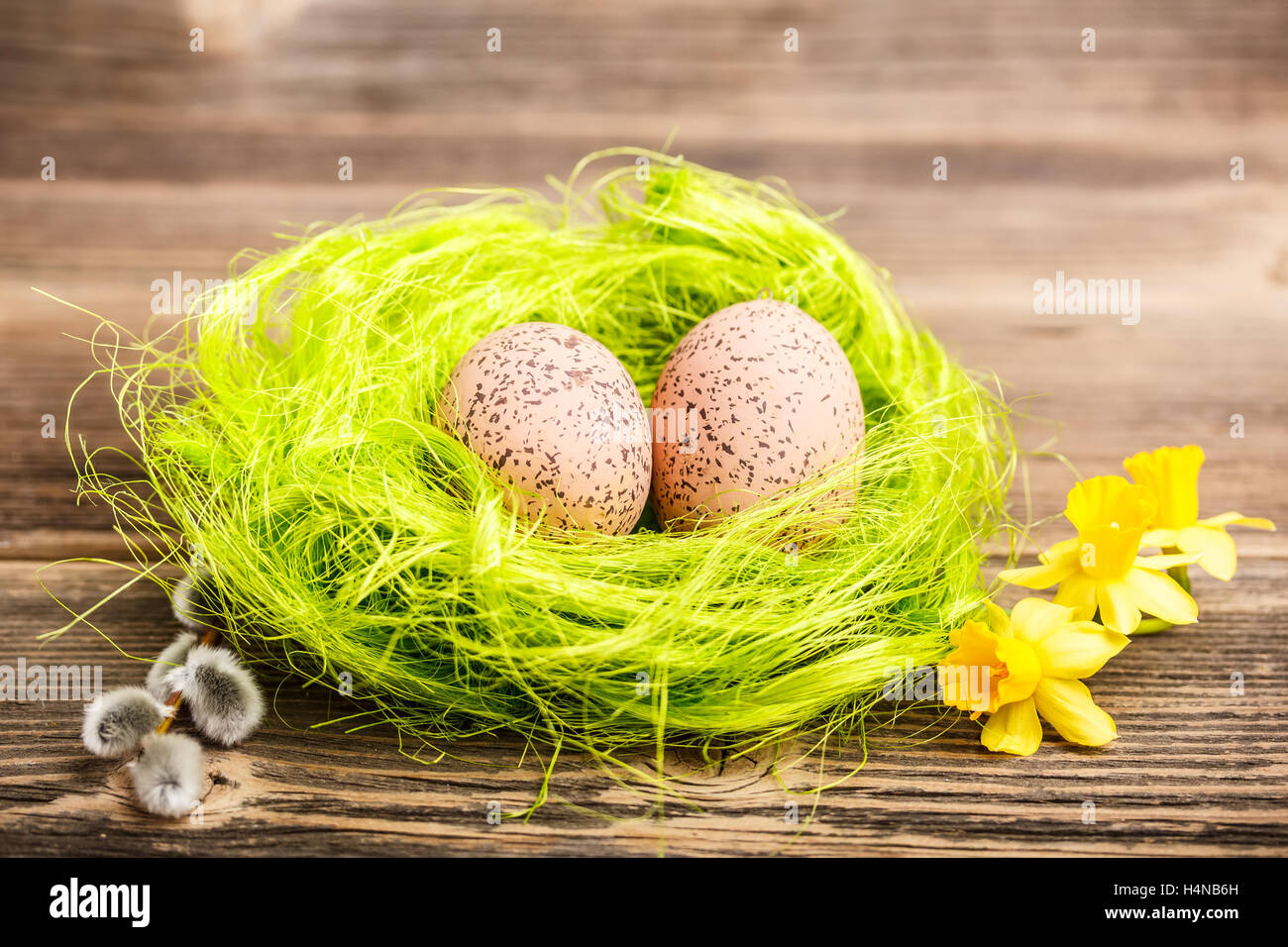 Easter Egg auf grünen nest Stockfoto