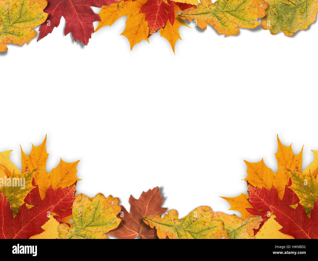 Herbst-Rahmen aus aus verschiedenen Herbst Blätter. Stockfoto