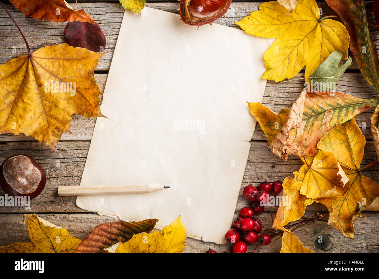 Herbstlaub auf dem alten Papierblatt Stockfoto