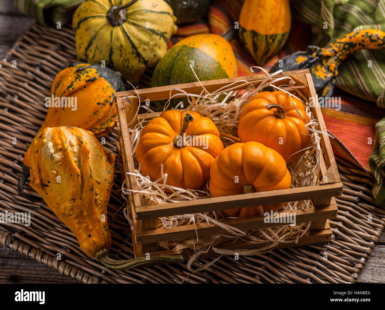 Kürbisse auf ländliche Landschaft Hintergrund Stockfoto