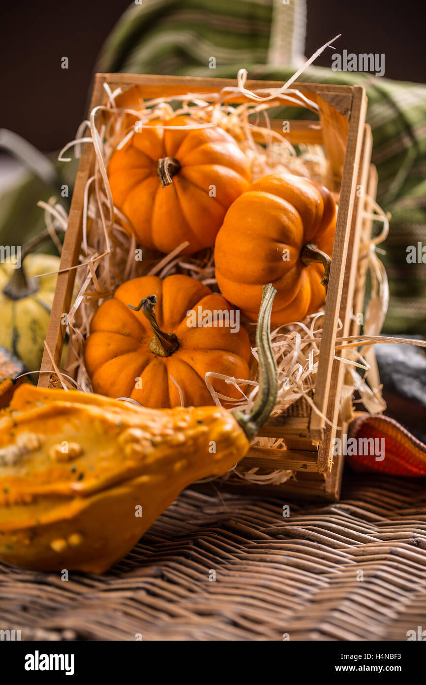 Dekorative Kürbisse Sammlung auf Vintage-Stil Stockfoto