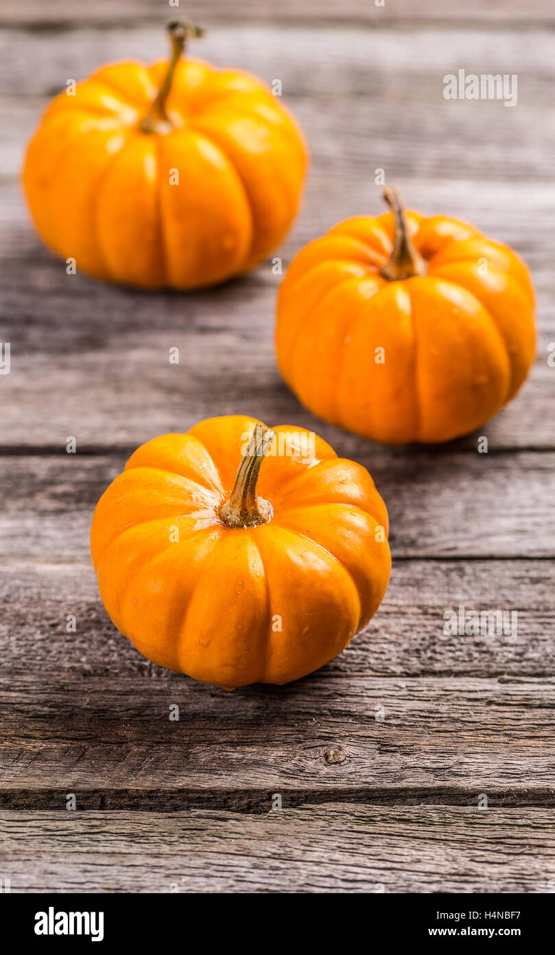 Mini orange Kürbisse auf Holzbrett Stockfoto