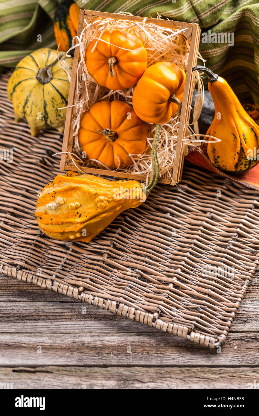 Dekorative Kürbisse auf ländliche Landschaft Hintergrund Stockfoto