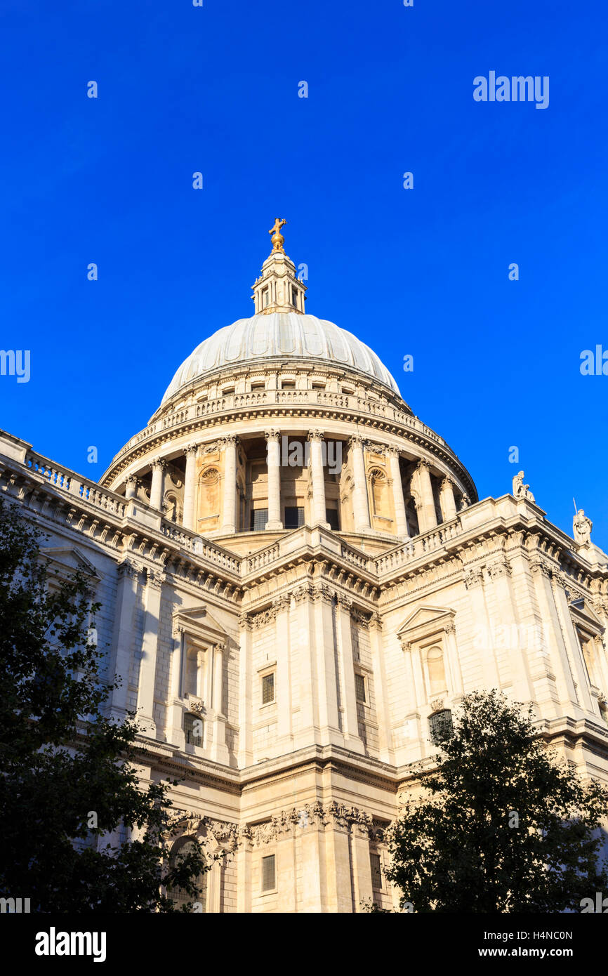 Str. Pauls Kathedrale niedrigen Winkel Ansicht gegen blauen Himmel, London, England Stockfoto