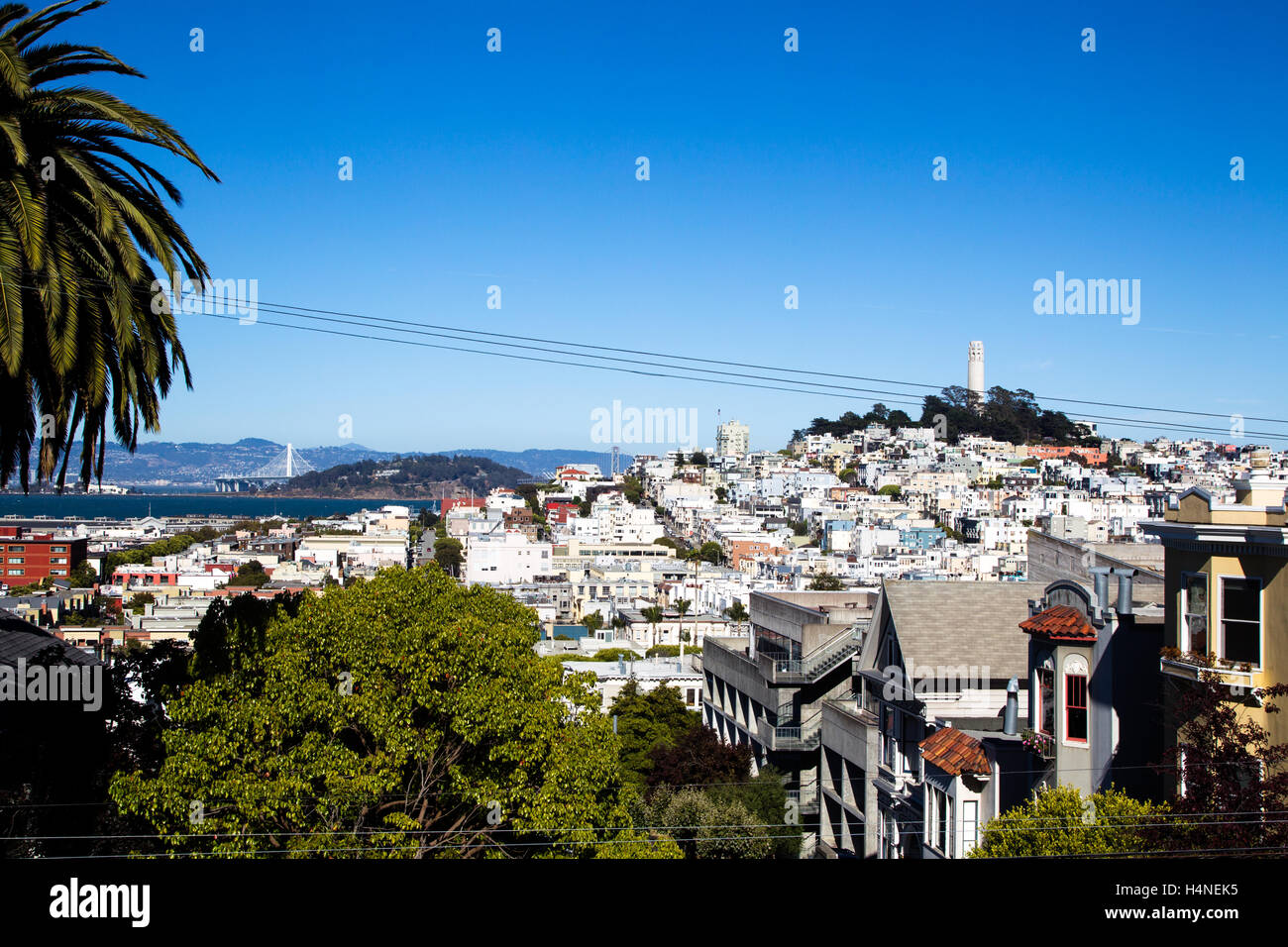 Blick auf Coit Tower und Telegraph Hill in der Innenstadt von San Francisco, Kalifornien, USA. Stockfoto