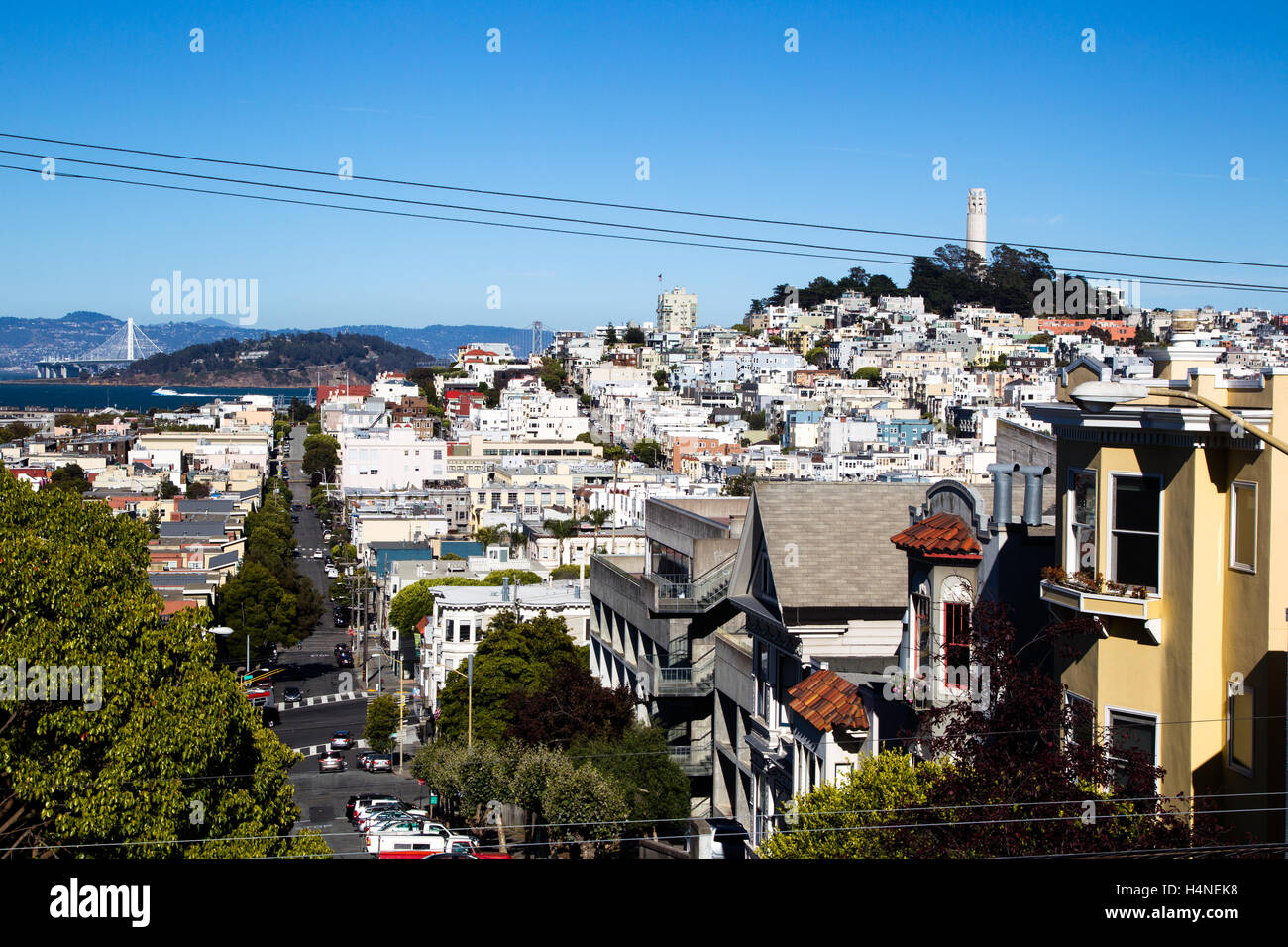 Blick auf Coit Tower und Telegraph Hill in der Innenstadt von San Francisco, Kalifornien, USA. Stockfoto