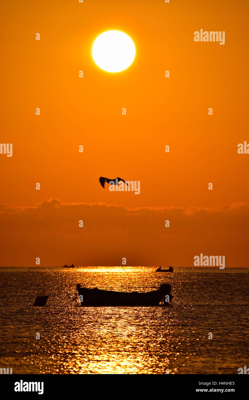 Roter Sonnenaufgang am Ionischen Meer mit Silhouette des Bootes und Möwe, Süd-Italien. Stockfoto