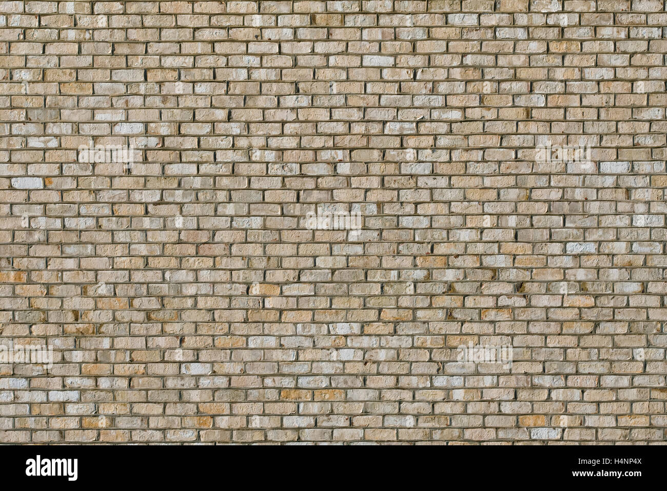 Helle farbige Mauer. Weißen Steinen Stockfoto