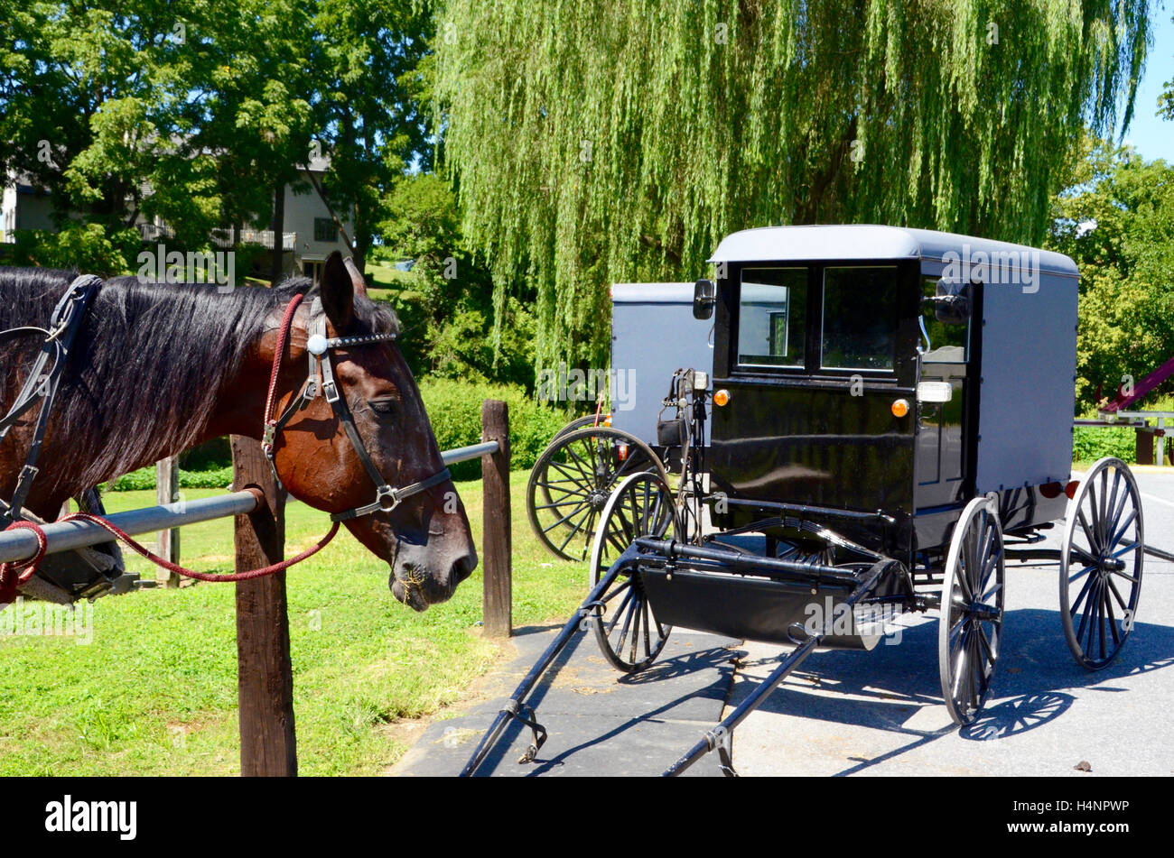 amische Land Pennsylvania USA Pferd und Wagen Buggy im Parkhaus geparkt Simon Leigh Stockfoto