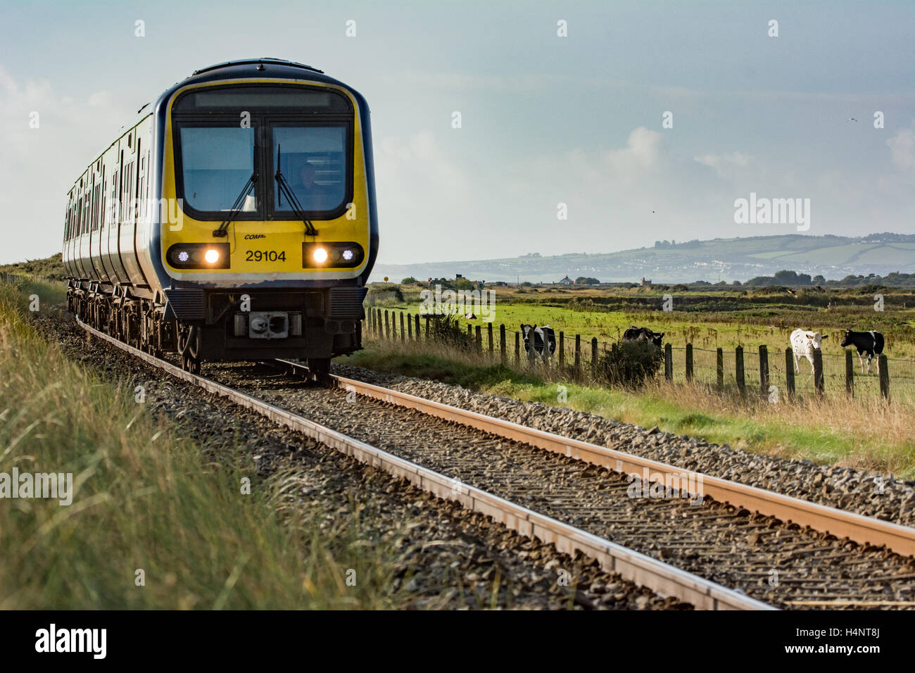 Zug auf Schienen unterwegs durch die irische Landschaft in Wicklow, Irland Stockfoto