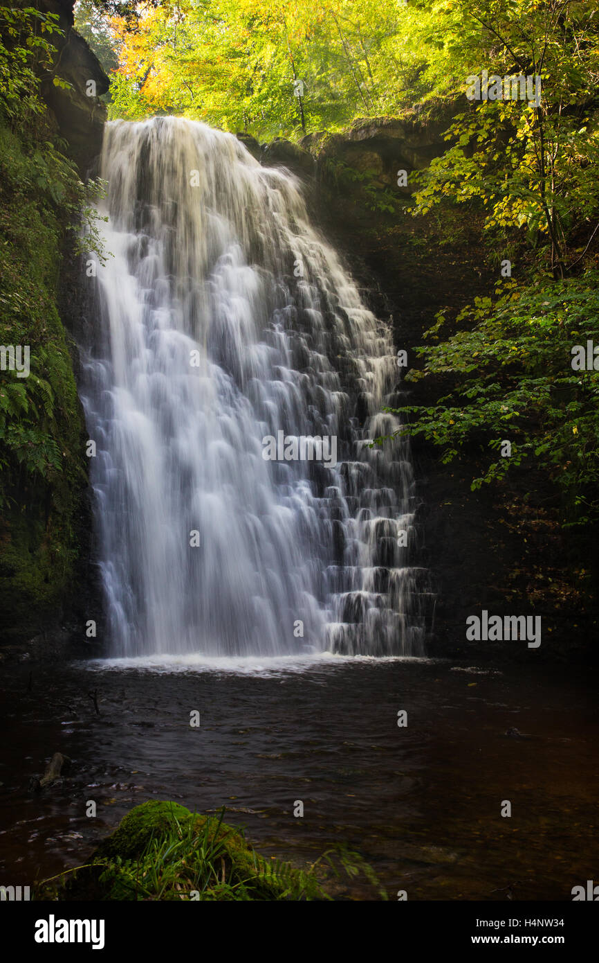 Fallende Foss Wasserfall in der Nähe von Whitby in North Yorks Moors Stockfoto