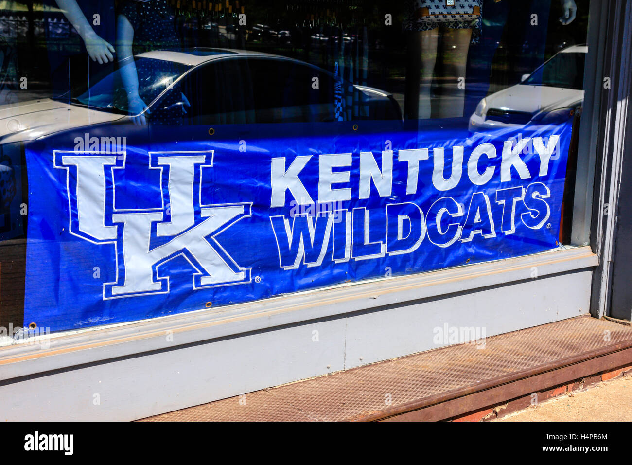 UK - University of Kentucky Wildcats Wimpel in der Innenstadt von Lexington. Stockfoto